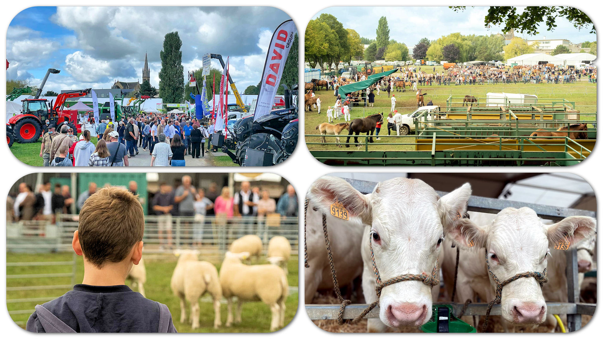 Foire agricole de Sedan