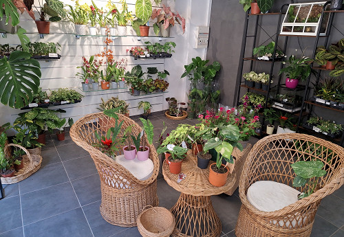 La Jardinerie Sedanaise - 5 Avenue du Général Margueritte, 08200 Sedan
